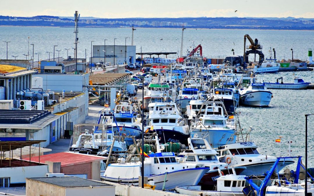 Los GALP españoles reclaman al Ministerio de Agricultura, Pesca y Alimentación garantías para el futuro desarrollo local participativo en las zonas pesqueras
